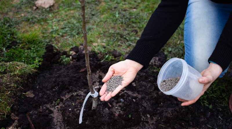 Aeracja gleby w przestrzeni ogrodowej – metody manualne i mechaniczne do napowietrzania ziemi