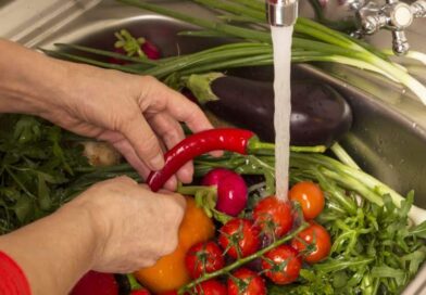 Optymalna pora nawadniania warzywnika i metody skutecznego podlewania