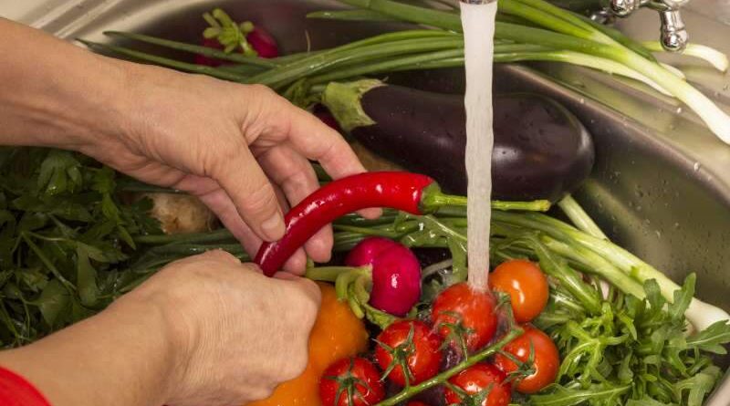 Optymalna pora nawadniania warzywnika i metody skutecznego podlewania